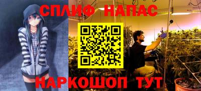 шишки Славянск-на-Кубани