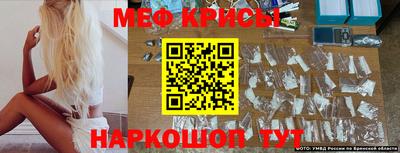 крисы Сланцы