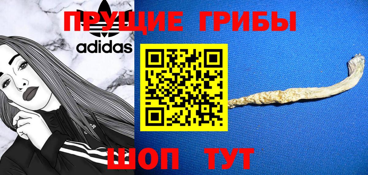 Галлюциногенные грибы прущие грибы  Вход с VPN  Новокуйбышевск 