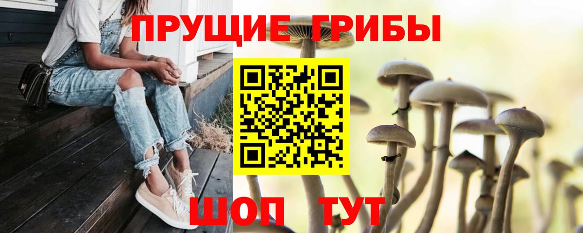 Галлюциногенные грибы прущие грибы Новокуйбышевск